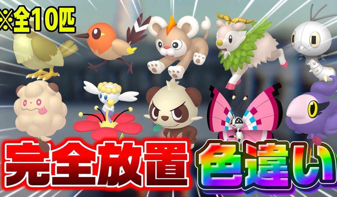 【ポケモンZA】10匹の色違いを完全放置で無限化する方法！！