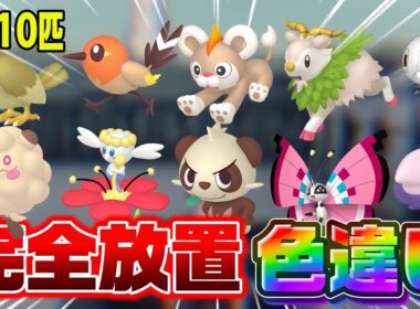 【ポケモンZA】10匹の色違いを完全放置で無限化する方法！！