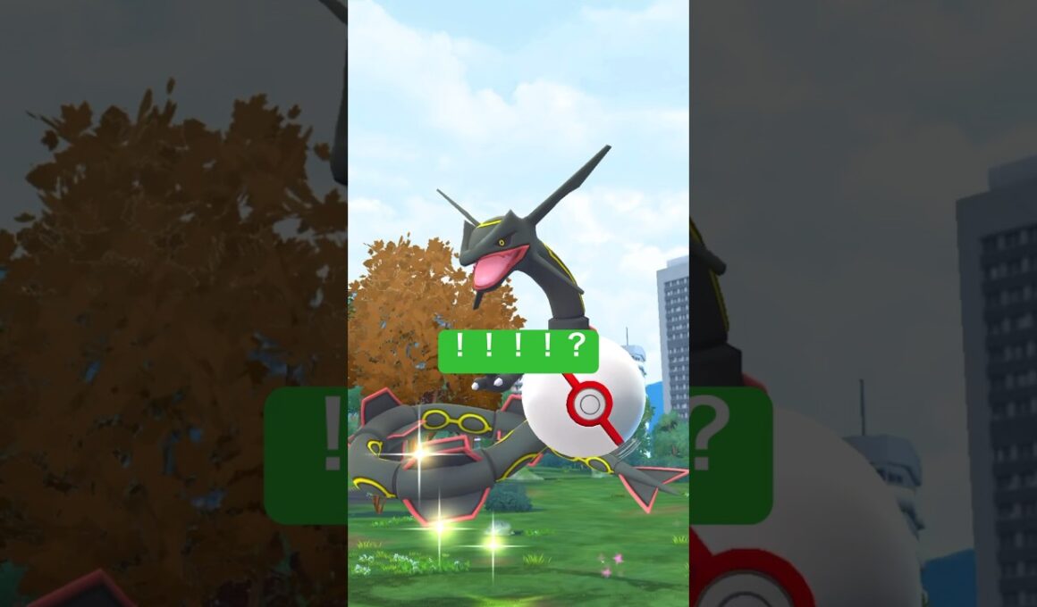 【ポケモンGO】メガレックウザ！高個体&色違いを狙え！！#nintendo #pokemon #pokemongo #ポケモンgo#色違い#レックウザ#メガレックウザ#ポケモン