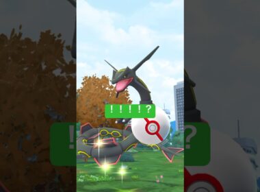 【ポケモンGO】メガレックウザ！高個体&色違いを狙え！！#nintendo #pokemon #pokemongo #ポケモンgo#色違い#レックウザ#メガレックウザ#ポケモン