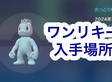 【ポケモンZA】ワンリキー入手場所