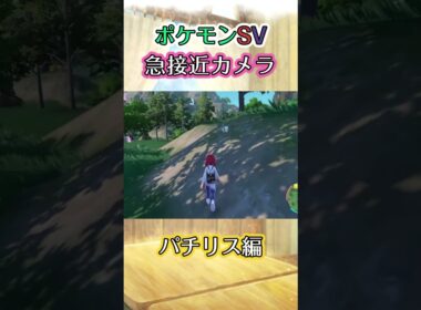 【ポケモンSV】パチリスをただただ追い詰めるだけの動画 #ポケモン #ポケモンsv #パチリス #shorts