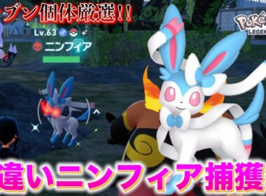 オヤブン色違いニンフィアの厳選方法が判明しました！【レジェンズZA】