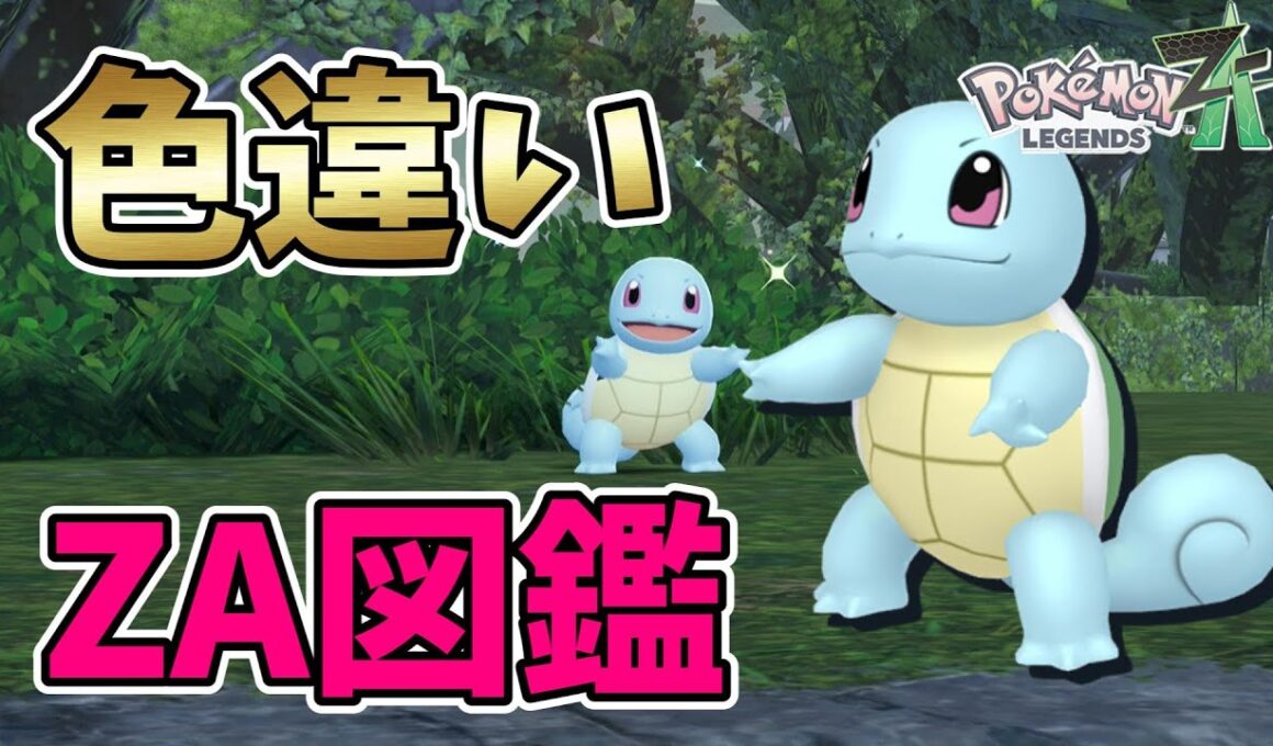 【ポケモンレジェンズZA】色違いゼニガメ・カメール・カメックス！色違い図鑑作成【Pokémon LEGENDS Z-A】