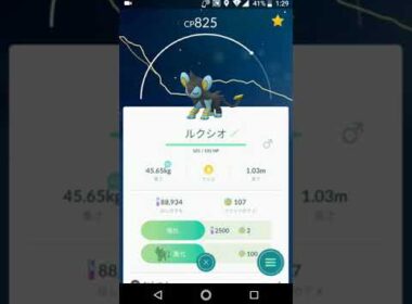 ポケモンGO「コリンクの進化系、ルクシオからレントラーへ」