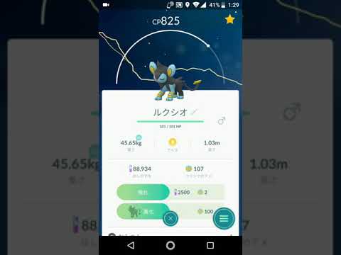 ポケモンGO「コリンクの進化系、ルクシオからレントラーへ」