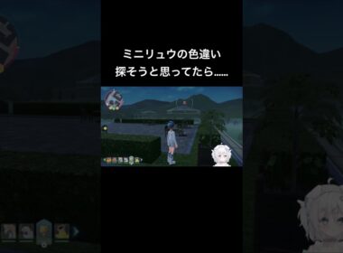 【朗報】色違いを発見【悲報】ヤヤコマに運を吸われる #ポケモンza #ポケモン #vtuber