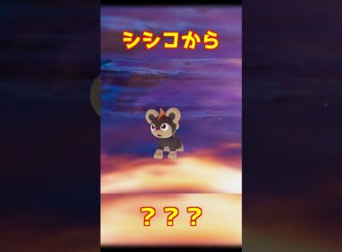 シシコ進化 #ポケモンza #shorts