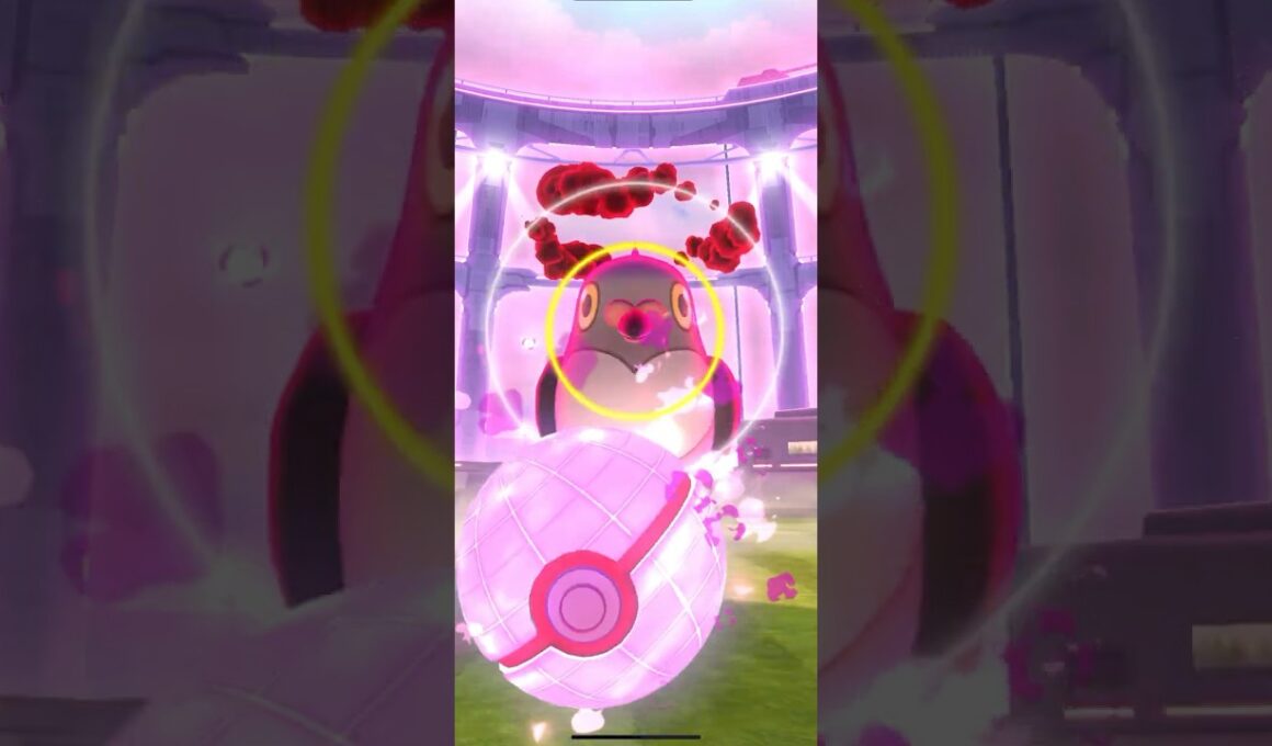 Get Hundo Dynamax Pidove #pokemongo