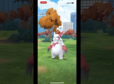 【ポケモンGO】ザングースにエクセレントスロー！