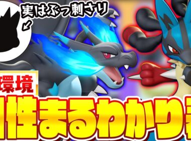 【必見】メガ進化・ぶっ壊れ強化、どう対策したらいいの！？相性や対策全部教えます【ポケモンユナイト実況解説】【メガリザードン/メガルカリオ/ダークライ/バシャーモ/エンペルト/パーモット】