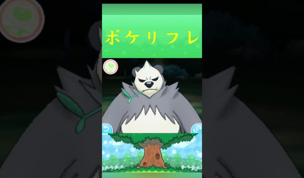 ポケモン ゴロンダ ポケリフレ ポケパルレ #ポケモン #Pokemon  #3DS #ポケモン技 #ポケモンsv #ポケモン#キャンプ #カレー #サンドイッチ #ピクニック