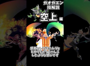 ガオガエン技解説【空上編】#shorts