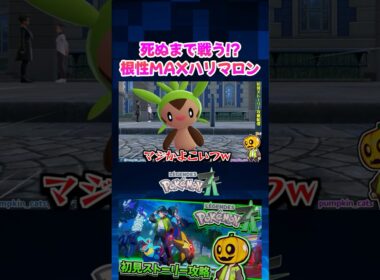 【ポケモンZA】誰かこいつを止めろｗ 野生のハリマロンが無限に挑んでくるサブクエがやばすぎる!?【切り抜き】#shorts