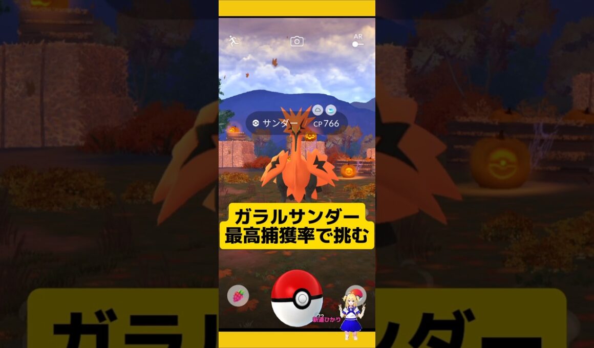 ガラルサンダーVS最高捕獲率！ゲットできるか?#ポケモンgo #ガラル三鳥 #ガラルサンダー #おさんぽおこう #サンダー #pokemongo #新道ひかり