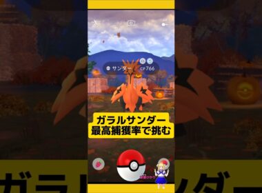 ガラルサンダーVS最高捕獲率！ゲットできるか?#ポケモンgo #ガラル三鳥 #ガラルサンダー #おさんぽおこう #サンダー #pokemongo #新道ひかり
