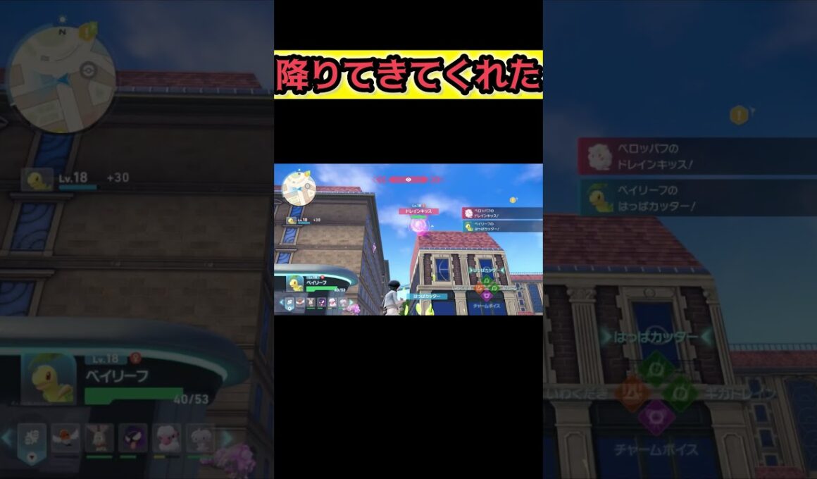 落ちたけどペロッパフも降りてきてくれて感謝【Pokémon LEGENDS Z-A】#ポケモンレジェンズza #pokemonlegendsza #ポケモン #ポケモンza #pokemon