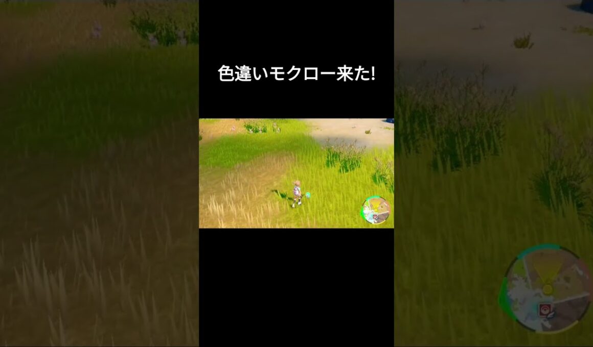 【ポケモンSV】色違いモクロー出現シーン