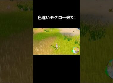 【ポケモンSV】色違いモクロー出現シーン
