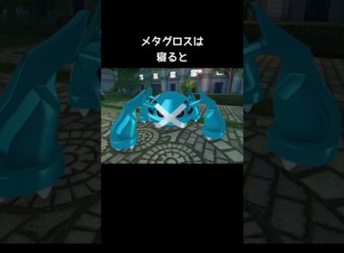 メタグロスたちの寝方の違い【ポケモンZA】