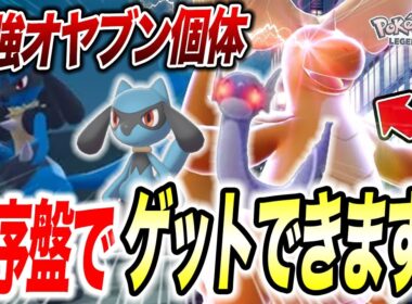 【ポケモンZA】最序盤オヤブン個体入手方法！旅パ最適リオル&ミニリュウの出現場所が衝撃的だった！！！！【SV /メガシンカ /ポケットモンスター/レジェンズZA/攻略】【アニポケ考察】【はるかっと】