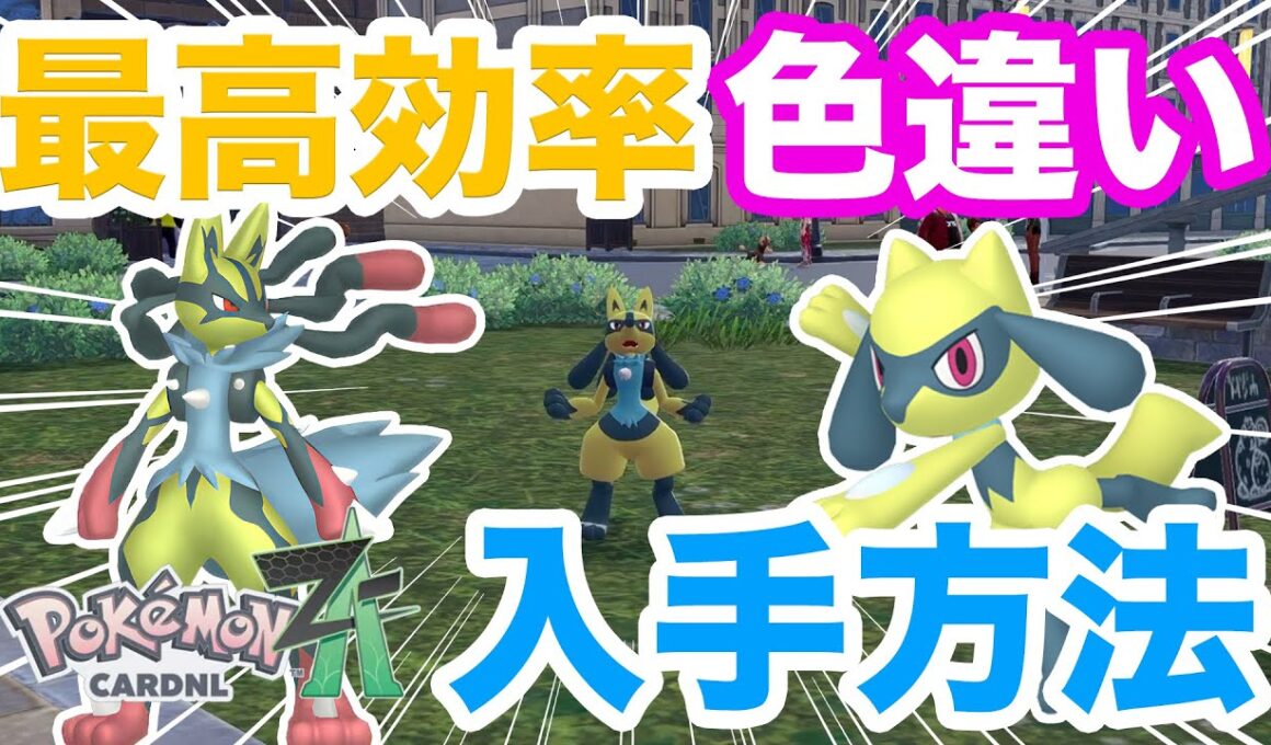【ポケモンZA】ベンチなし！最速で色違いリオル・ルカリオの入手方法を解説！メガルカリオに進化させてランクマッチでバトルしよう！