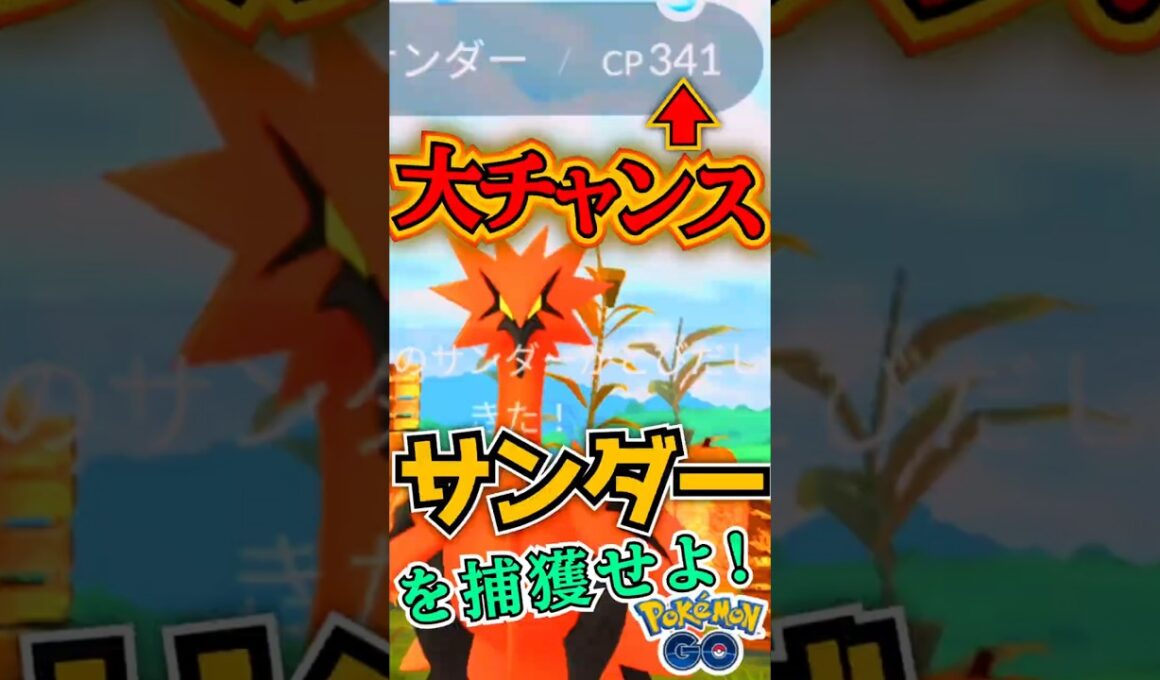 奇跡なるか?! ガラルフリーザー 大チャンス（2025/10/31）【ポケモンGO】【PokemonGO】