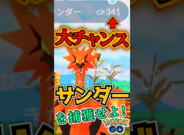 奇跡なるか?! ガラルフリーザー 大チャンス（2025/10/31）【ポケモンGO】【PokemonGO】
