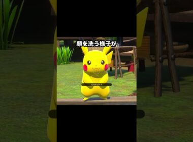 人慣れしたピカチュウvs野生のピカチュウ #ポケモン #newポケモンスナップ