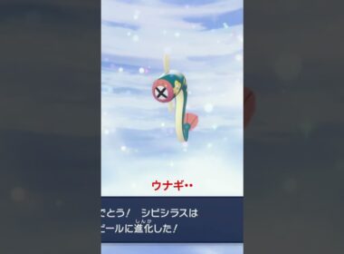 シビシラス進化反応！