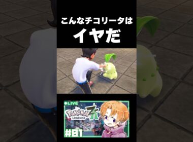 鳴き声が独特すぎるチコリータ #shorts #ポケモン #pokemonlegendsza