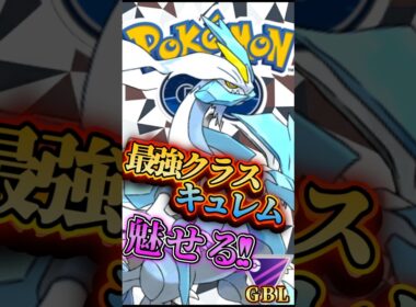 最強はホワイトキュレム!!【ポケモンGO】【GOバトルリーグ】