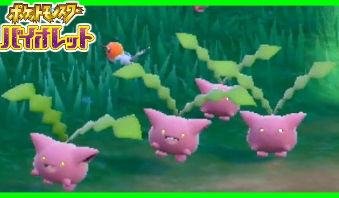 ハネッコってこんなにかわいかったんだ！【愛を取り戻すポケモンバイオレット初見実況】#2