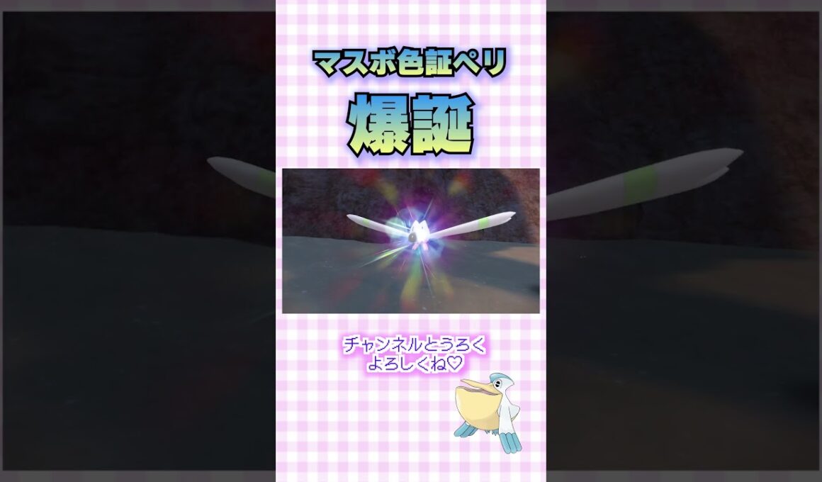 【ポケモンSV 】マスボ色証ペリッパーだ！【藍の円盤】