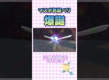 【ポケモンSV 】マスボ色証ペリッパーだ！【藍の円盤】