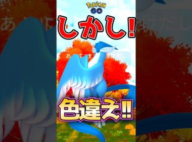 奇跡なるか?! ガラルフリーザーを捕獲せよ!!（2025/11/2）【ポケモンGO】【PokemonGO】