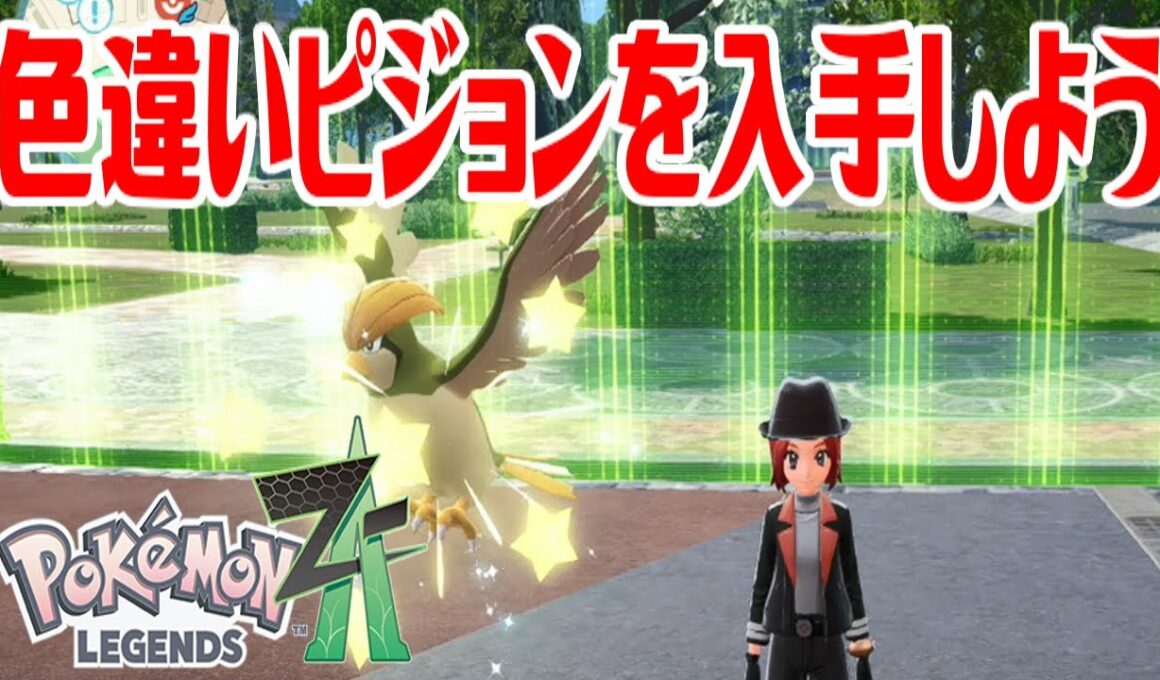 【ポケモンZ-A】色違いピジョンを入手しよう 進化入手【Pokémon LEGENDS Z-A】