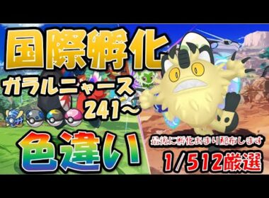 【ポケモンSV】国際孵化色違い厳選　ガラルニャース　２４１～　２日目