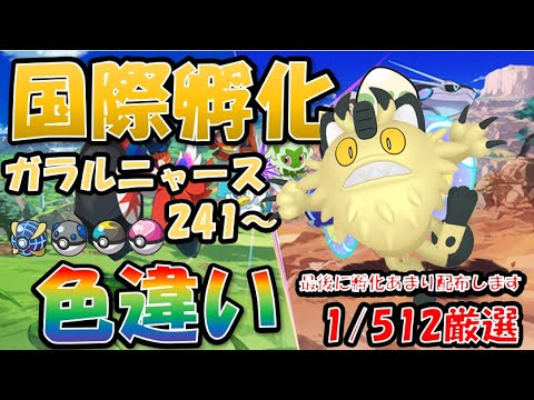 【ポケモンSV】国際孵化色違い厳選　ガラルニャース　２４１～　２日目