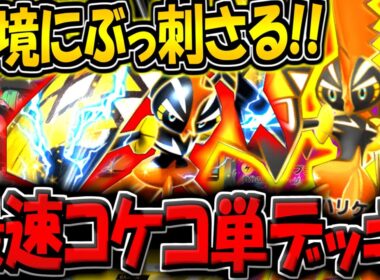 【ポケポケ】最速で殴りまくる"カプコケコ単デッキ"が現環境にぶっ刺さる件についてwww【ポケカポケット】