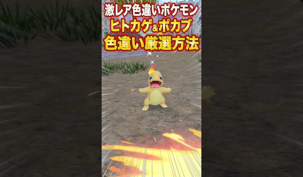 【ポケモンZA】激レア色違いポケモン「ヒトカゲ＆ポカブ」の最高効率色違い厳選方法【レジェンズZA】#shorts #ポケモン #ポケモンza #レジェンズza #legendsza