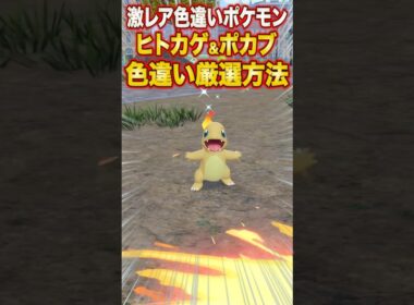 【ポケモンZA】激レア色違いポケモン「ヒトカゲ＆ポカブ」の最高効率色違い厳選方法【レジェンズZA】#shorts #ポケモン #ポケモンza #レジェンズza #legendsza