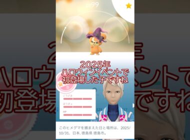 🎃魔女帽子ヒメグマ🐻🎩個体値100％✨強化PL40まで#ポケモンgo #pokemongo #pokemongoshorts