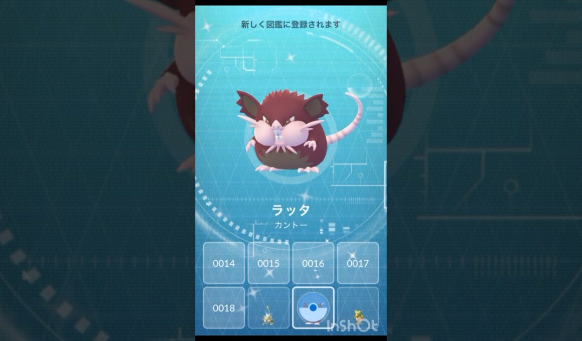 色違い コラッタ アローラのすがた →ラッタ アローラのすがた！【 ポケモンgo 】色違い進化＋ハロウィン ロコン色違いGET！#ポケモン #pokemon #pokemongo #ポケモンgo