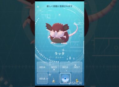 色違い コラッタ アローラのすがた →ラッタ アローラのすがた！【 ポケモンgo 】色違い進化＋ハロウィン ロコン色違いGET！#ポケモン #pokemon #pokemongo #ポケモンgo