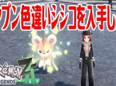 【ポケモンZ-A】オヤブン色違いシシコを入手しよう【Pokémon LEGENDS Z-A】