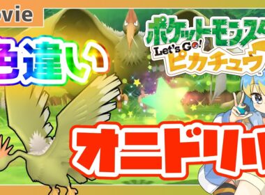 【ピカブイ】色違いオニドリル、ゲットだぜ！ ～ 輝羅星そらの の いろぽけちゃんねる!【No.022 オニドリル / Shiny Fearow】