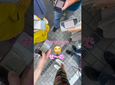 Tシャツ？ザマゼンタでせ〜の⁉️