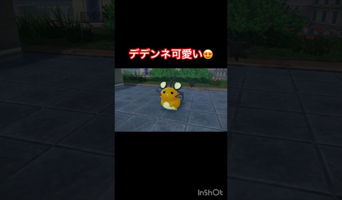 デデンネを引き取るパターンかと思いきや⁈  【Pokémon LEGENDS Z-A/ポケモンレジェンズZA】