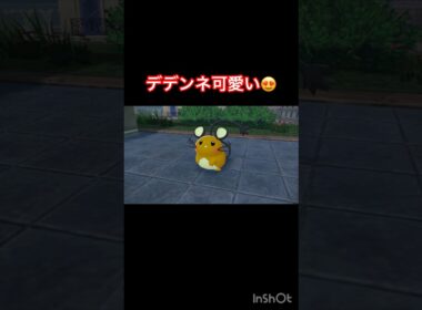 デデンネを引き取るパターンかと思いきや⁈  【Pokémon LEGENDS Z-A/ポケモンレジェンズZA】